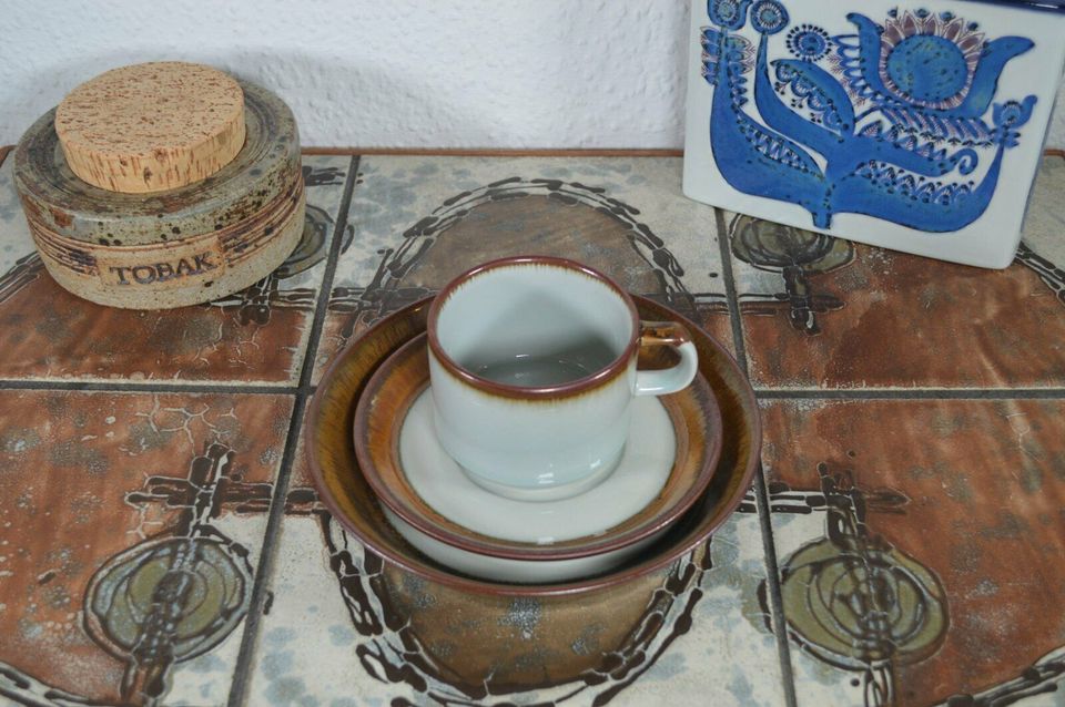 Mid-Century Modern Desiree Stentøj Danmark Diskos Design Geschirr Tasse, Unterteller, Teller 1960s Danish Modern Designklassiker