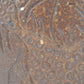 Mette Lokke Stiil Denmark Studiokeramik Vase 1970s Brutalismus Danish Design